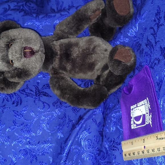 1998-1999 ACS Relay For Life "Mr. Ree" (mystery) Teddy Bear VTG Plush Logo Bear - Picture 13 of 17